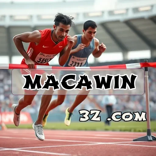 macawin bet Segurança